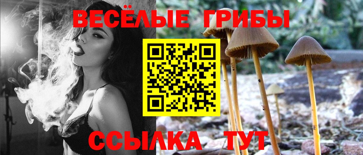 Псилоцибиновые грибы мухоморы Краснодар